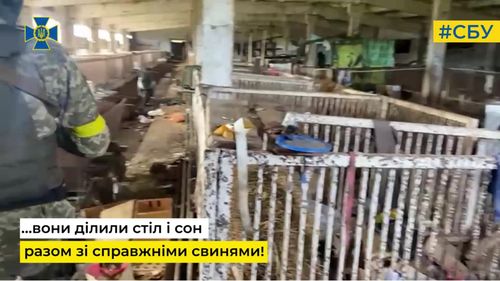 VIDEO Dormitor în cocina de porci. SBU susține că soldații ruși au dormit cu porcii într-un oraș din Herson și au furat mai multe mașini de spălat: „Și-au găsit propria lor specie” / „Cât mai sunteți în viață, predați-vă”