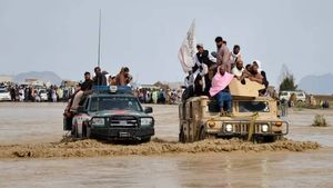 CNN: Afganistanul şi Pakistanul au avut cele mai violente schimburi de focuri din ultimii ani / Ar putea semnala o nouă eră de instabilitate pentru cele două ţări vecine