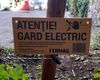 Gardul electric funcționează la Râșnov, dar urșii caută breșe / Animalele pătrund în oraș prin zonele neprotejate