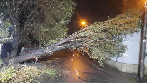 Bilanțul după furtuna din Constanța: Peste o mie de apeluri la 112, 60 de maşini avariate, 240 de copaci degajați şi 50 de acoperişuri smulse de vânt