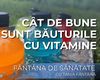 Consumul de băuturi dulci, asociat cu un risc mai mare de obezitate, diabet și ficat gras