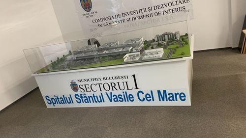 Clotilde Armand arată că pentru un proiect de spital în Sectorul I s-au cheltuit milioane de lei, rezultatul fiind „o machetă”