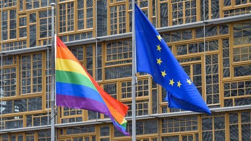 Ministerul de Externe nu s-a hotărât dacă contestă sau nu decizia CEDO privind cuplurile de același sex / ”Este în curs de desfășurare o analiză”