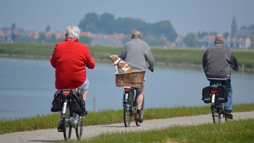 De ce ne mișcăm mai încet, pe măsură ce îmbătrânim. Concluziile surprinzătoare ale unui studiu publicat în The Journal of Neuroscience