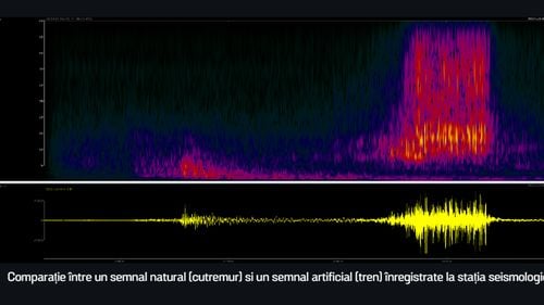Seism cu magnitudinea 7 şi alertă de tsunami în apropiere de coastele Californiei