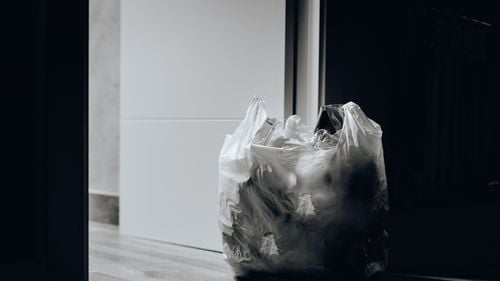 Pungile din plastic, interzise în Germania începând din 2022