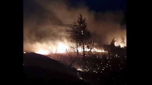 VIDEO Incendiu puternic pe circa 20 de hectare de pădure în Munții Apuseni