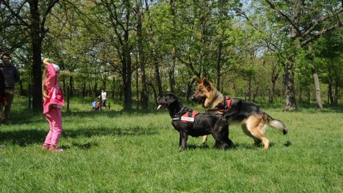 Un nou titlu pentru România la Campionatul Mondial al Câinilor de Salvare