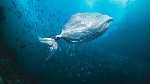 VIDEO Poluarea oceanelor: O elevă voluntară Greenpeace România, în activism de la 10 ani: ”Înghițim săptămânal o cantitate de plastic cât un card bancar”