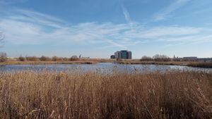 O acţiune de ecologizare este organizată pe 9 martie în Parcul Văcăreşti / Voluntarii sunt invitaţi să se implice