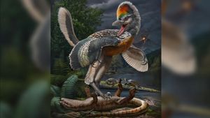 Un studiu dezvăluie când au trăit pe Pământ primii dinozauri cu sânge cald