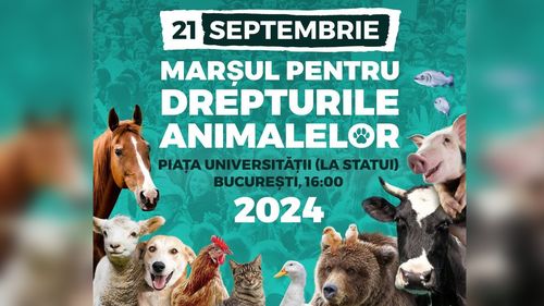 Marșul pentru Drepturile Animalelor 2024, organizat în 21 septembrie / Printre cerințe: bază de date pentru toate animalele de companie, obligativitatea sterilizării și microcipării pisicilor