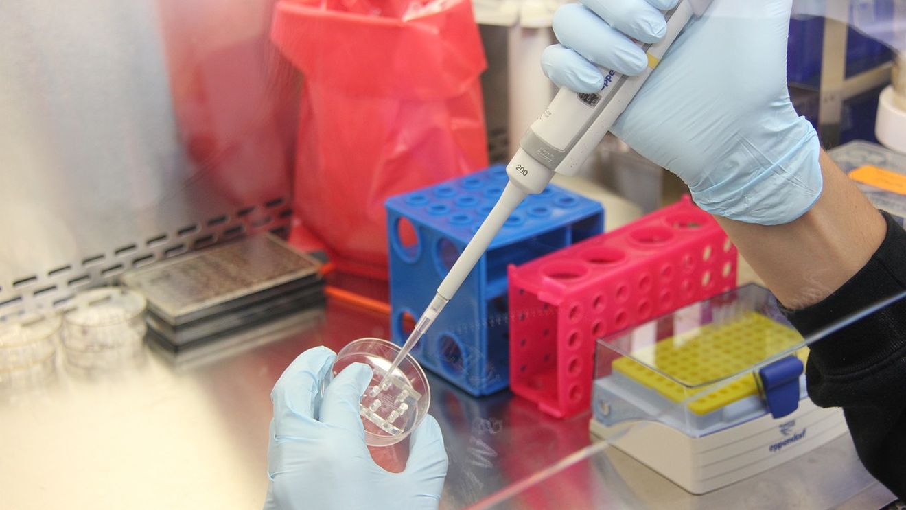 Un copil din fiecare clasă din Regatul Unit se naşte ca urmare a fertilizării in vitro