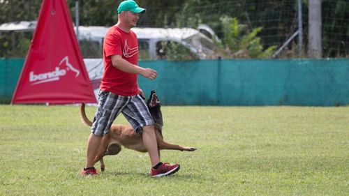 Socializarea câinelui: Înseamnă să renunțe câinele la interacțiunea cu semenii lui și să aleagă joaca cu stăpânul. Sfaturi utile de la dresor