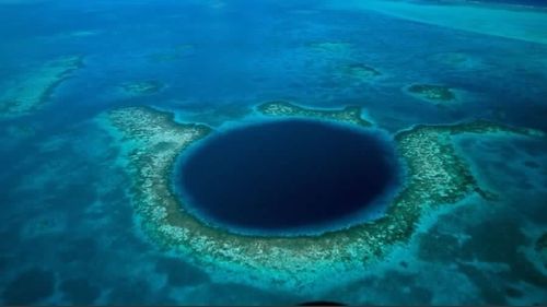 Cercetătorii chinezi au realizat noi descoperiri în Groapa Marianelor, cel mai adânc ecosistem marin