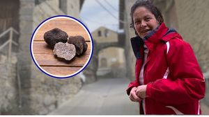 VIDEO | Povești vânătorești cu și despre trufe negre/ Cum se desfășoară o vânătoare de trufe în Pirinei