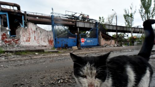 Grevă a şoferilor de autobuz din Mariupol, oraș ocupat de ruși/ Nu mai există motorină pentru autobuze, toate stocurile fiind predate rușilor, afirmă consilierul primarului