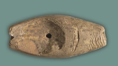 Instrument muzical de suflat, preistoric, expus la Muzeul Național al Unirii din Alba Iulia