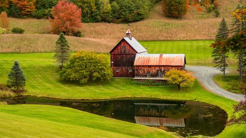 Locuitorii dintr-o mică comunitate rurală din Vermont au ripostat împotriva hoardelor de influenceri veniți în căutarea fotografiei perfecte de toamnă