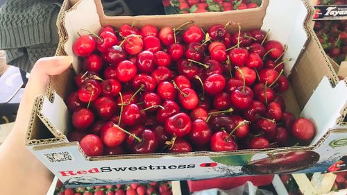 Au apărut cireșele în piețele din Sibiu: 175 de lei kilogramul / Fiind puține, comercianții spun că fructele sunt „rezervate” cu mai mult timp înainte