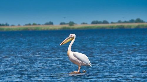 Ciolacu: Cu ajutorul unui cod QR pe care îl regăsiţi la peste 600 de taxiuri colantate, România este promovată în Hamburg, Berlin, München şi Frankfurt, pe toată durata Campionatului European de Fotbal