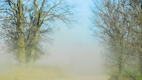 Cod galben de vânt puternic în 22 de judeţe – rafale de până la 120 km/h la munte