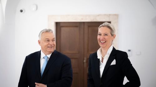 Sondaj INSA în Germania indică un scor record de 28% pentru AfD, în continuare cel mai puternic partid