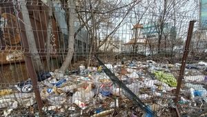 FOTO Gropile de gunoi din inima Bucureştiului pe care autorităţile se fac că nu le văd. Două dintre ele, la nici o sută de metri de kilometru zero al Bucureștiului