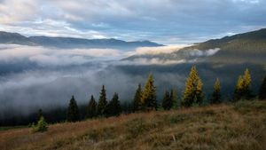 "Cobor între stejari", festival organizat de Fundaţia Conservation Carpathia / Competiții de ciclism, drumeții și mâncare tradițională / Concerte Mădălina Pavăl & Orchestră, Simion Bogdan Mihai şi Lăutarii de Mătase