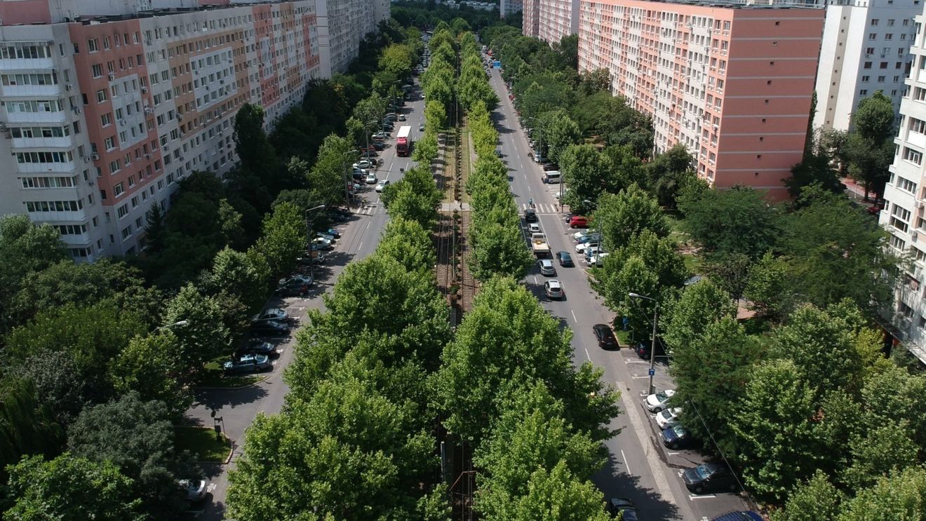 CCR discută sesizarea USR şi Forţa Dreptei referitoare la Legea cadastrului care ”pune în pericol proprietățile românilor”