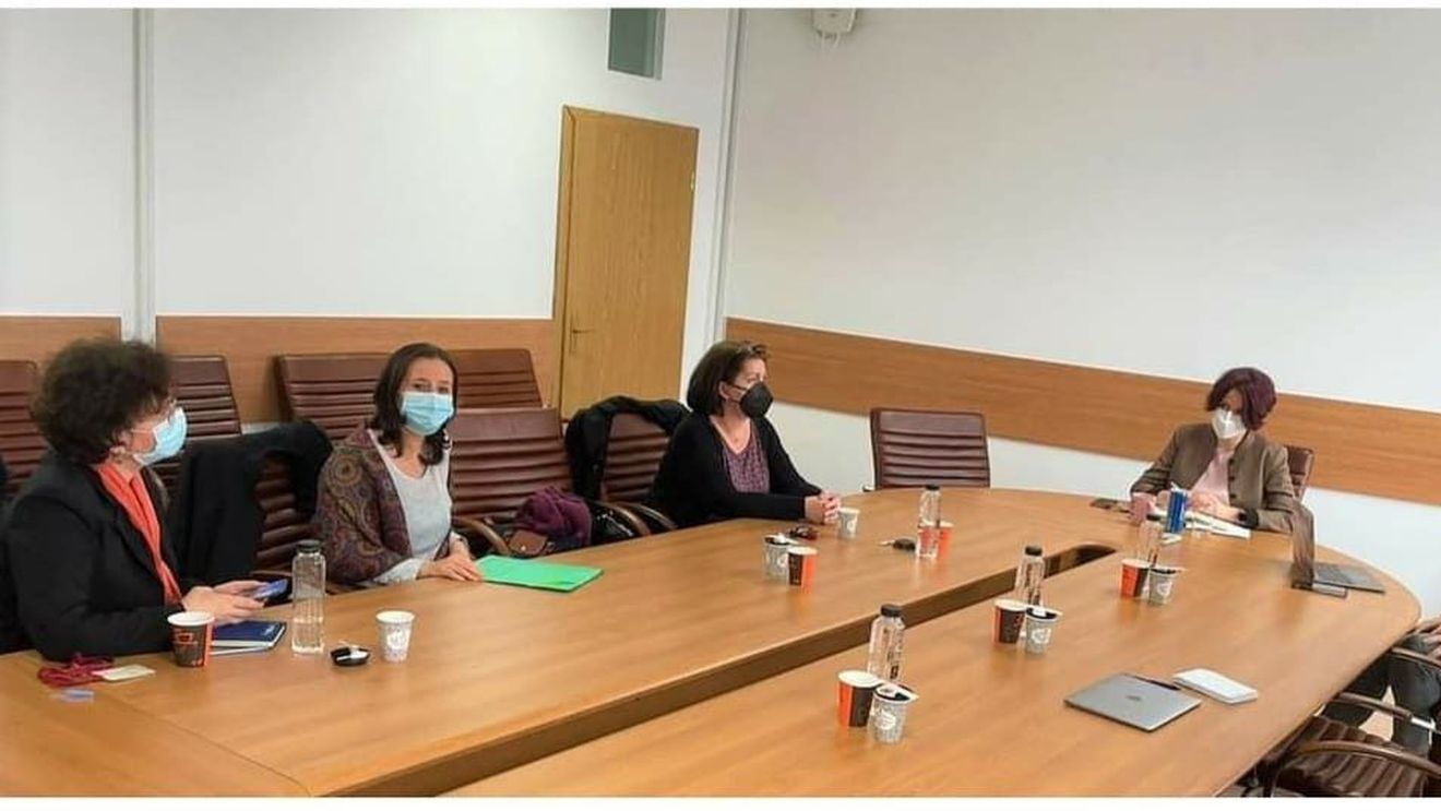 Critici dure aduse conducerii stucturii responsabile de persoane cu dizabiltăți, copii și adopții / Maria Mădălina Turza: „Mizeria de sub preș în dizabilitate”