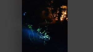 VIDEO Incendiu în pădurea de lângă mănăstirea Cocoș, județul Tulcea / Aproape 200 de hectare afectate, intervine un elicopter Black Hawk