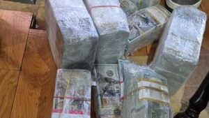 SURSE Procurorii au găsit circa un milion de dolari și jumătate într-un seif îngropat în podeaua casei lui Horațiu Potra / Arme și muniție la familia Potra