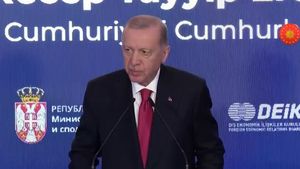 Un tribunal turc plasează în arest nouă protestatari care au întrerupt un discurs al lui Erdogan
