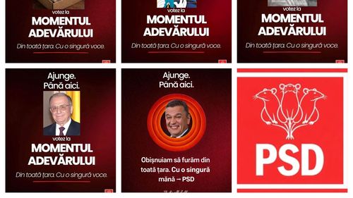 SURSE: PSD va depune plângeri la Parchetul General și CNCD împotriva creatorilor de meme-uri cu șobolani / Un lider PSD l-a numit explicit pe premier ”Șobolan Bolojan”