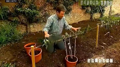 Televiziunea din Coreea de Nord a blurat pantalonii purtați de prezentatorul unei emisiuni BBC de grădinărit / Blugii, interziși în dictatura lui Kim Jong Un