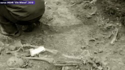 Descoperire istorică în judeţul Iaşi. Groapă comună din timpul războiului descoperită într-o pădure