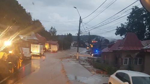 Brașov: Trafic blocat de copaci rupți în zona Moieciu – Fundata