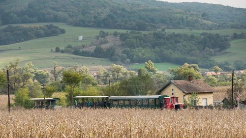 Secretar de stat în Ministerul Proiectelor Europene: Comisia Europeană a apreciat proiectul România Atractivă, care include 14 trasee culturale / Ruta mocăniţelor, a bisericilor fortificate și a celor de lemn, dar și o rută culturală a opresiunii şi conflictelor, propuse pentru PNRR