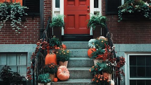 De ce americanii ar putea cheltui 12 miliarde de dolari de Halloween în acest an, o sumă record / Chiar și în mijlocul incertitudinii economice, banii nu vor înceta să curgă