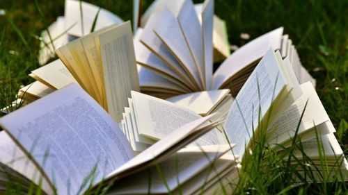 Ecaterina Andronescu: Licitația de anul acesta va fi pentru manuale de clasa a VII-a. La clasa I, editura unică încasează un nou contract