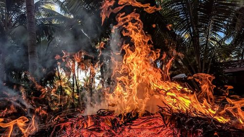 Câtă energie consumă azi omul modern pentru a trăi și cum a evoluat producerea ei / Încălzirea globală, cea mai mare provocare cu care s-a confruntat vreodată omenirea - studiu BBC