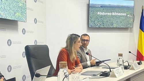 EXCLUSIV Ministra Mediului: „Contractul cu Federația Greenfield poate fi reziliat / Drumul forestier din Pădurea Băneasa nu trebuie traversat zilnic de zeci de mii de mașini”