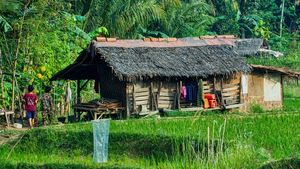 Indonezia: autoritățile dintr-o zonă rurală le dau găini bonus bătrânilor care se vaccinează anti-Covid