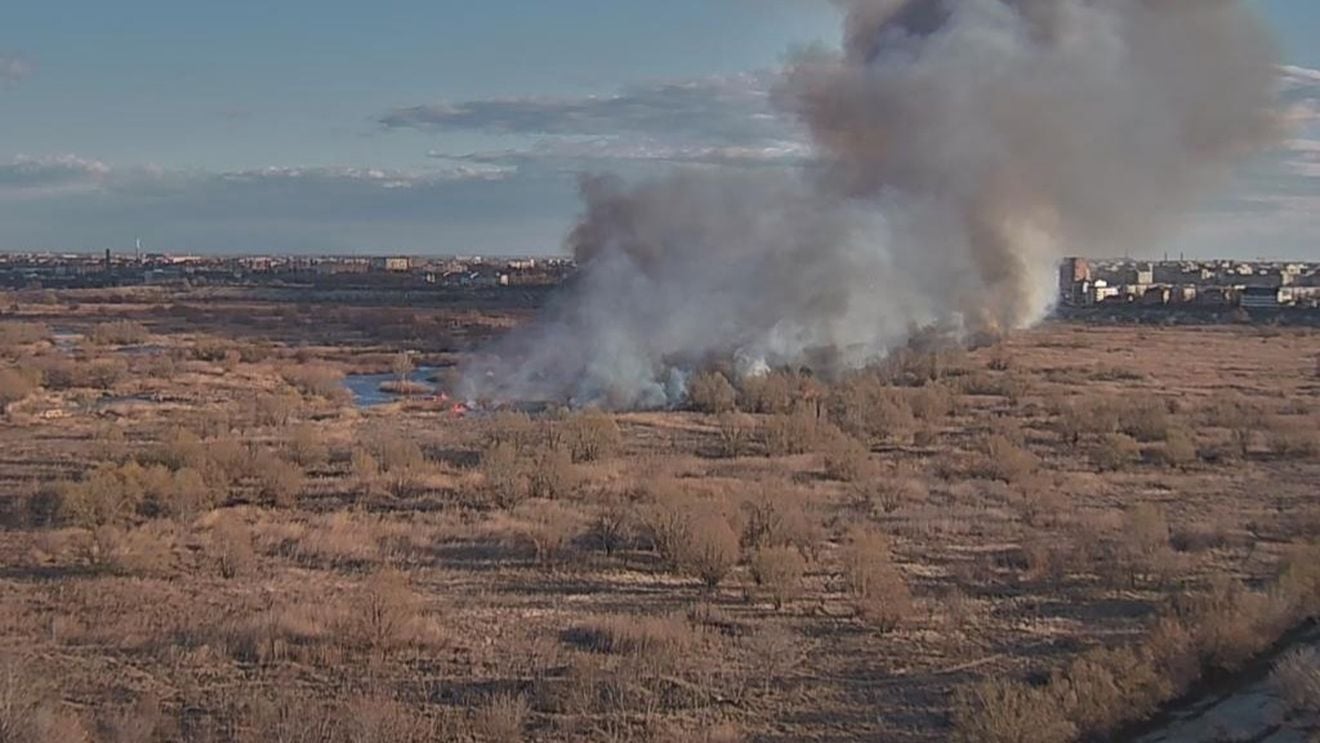 VIDEO FOTOGALERIE Incendiu în Delta Văcărești pe circa 2 hectare de vegetație