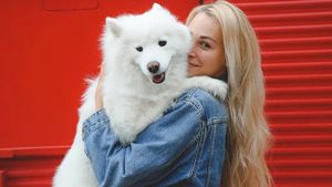 Cum se comportă câinele tău când te vede? 10 semne că blănosul te iubește