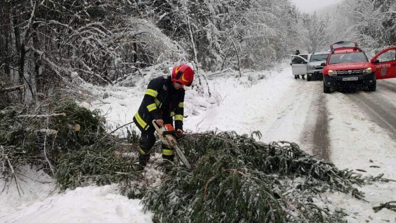 Pompierii din Arad intervin după ce vijelia a rupt copaci/ De pe unele clădiri se desprind elemente