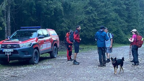 Bihor: Turist din Polonia, accidentat pe munte / Bărbatul a avut o luxaţie de umăr şi prezenta dureri puternice dar a refuzat chemarea unei ambulanţe