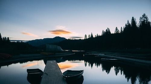 Este liniștea un sunet? O descoperire recentă face lumină asupra acestei vechi întrebări