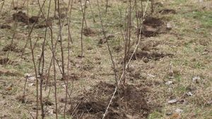 De ce au fost achitați într-un dosar de fraudă cu fonduri europene constructorii din Galați care au făcut și calea ferată de la Gara de Nord la aeroportul Otopeni